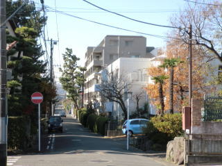 風情漂う前面道路の風景