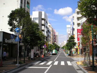 平塚駅よりマンションへ続く商店街の様子 平塚駅よりマンションへ続く商店街の様子
