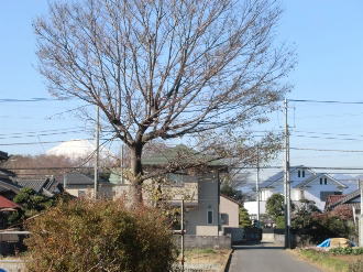 富士山を望む前面道路の様子