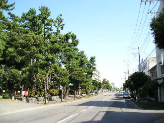 約450m：村井玄斎公園前の様子